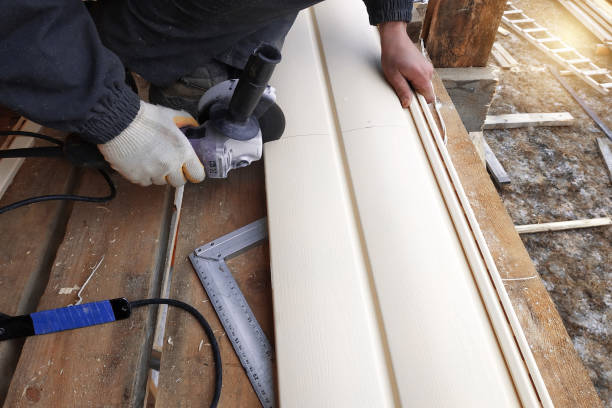 Best Steel Siding Installation  in San Felipe Pueblo, NM